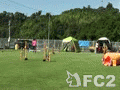 動画:Procyon JP1
